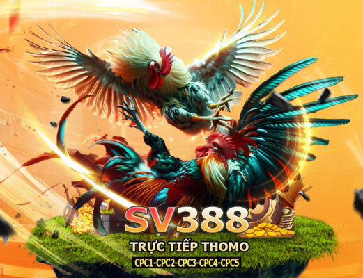 AZ888 trực tiếp Đá Gà SV388 